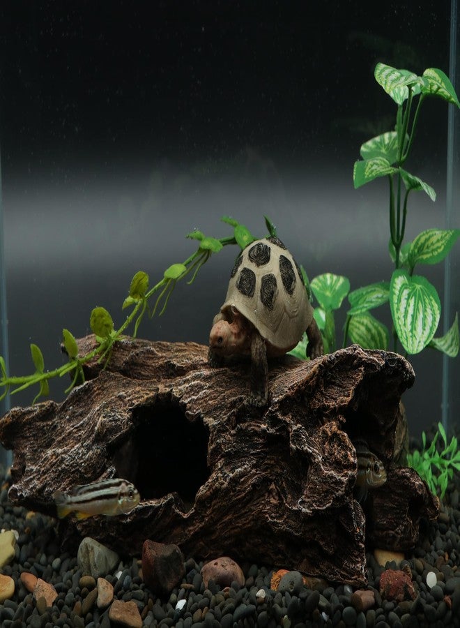 AQUA KT Reptile Hideout Tree Trunk Hollow Log Cork Bark for Lizard Bearded Dragon Snake Chameleon Hermit Crab Leopard Gecko Terrarium Habitat Decoration - Image 5